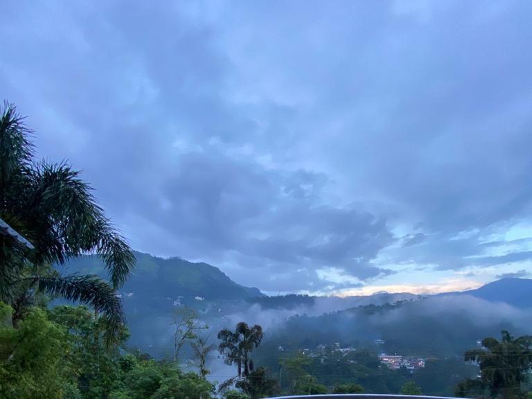 Bed and Breakfast Munnar Blue Mist Esterno foto