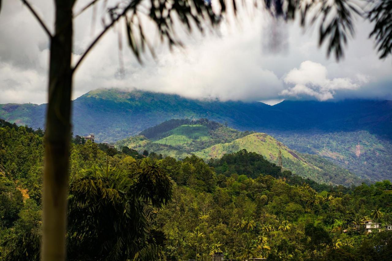 Bed and Breakfast Munnar Blue Mist Esterno foto
