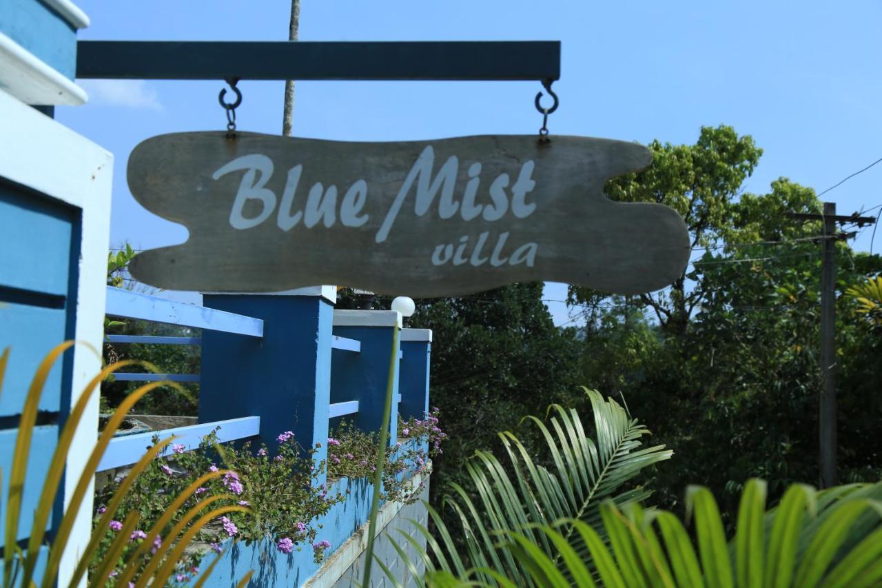 Bed and Breakfast Munnar Blue Mist Esterno foto